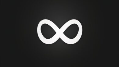 Meta’s automatic adjustments feature for ad campaigns