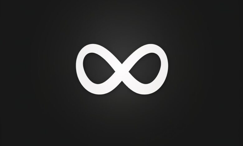 Meta’s automatic adjustments feature for ad campaigns