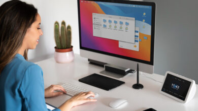 New Bing local knowledge panel design being tested for enhanced layout