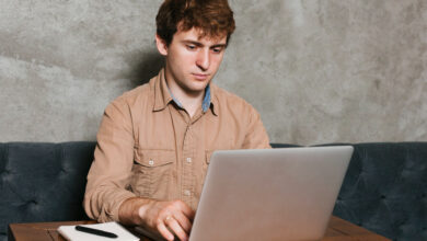 Google's November 2024 core update with limited HCU recovery